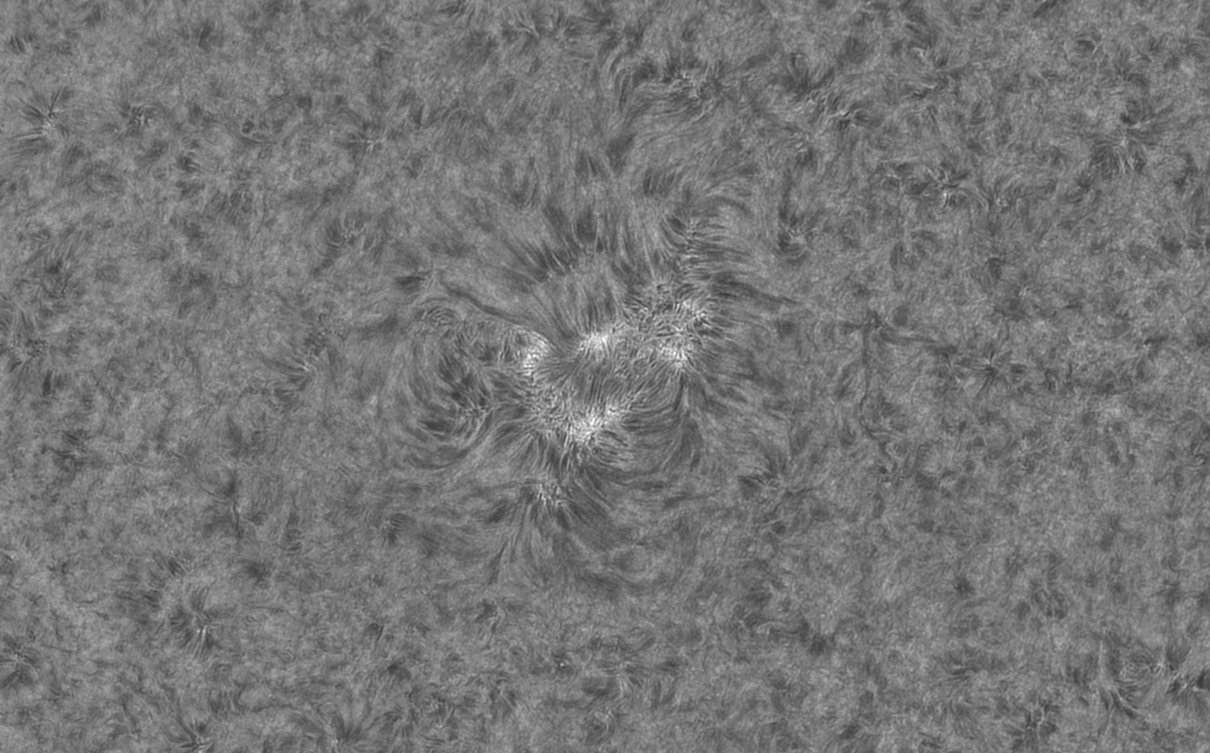 ar2748 halpha-bw
