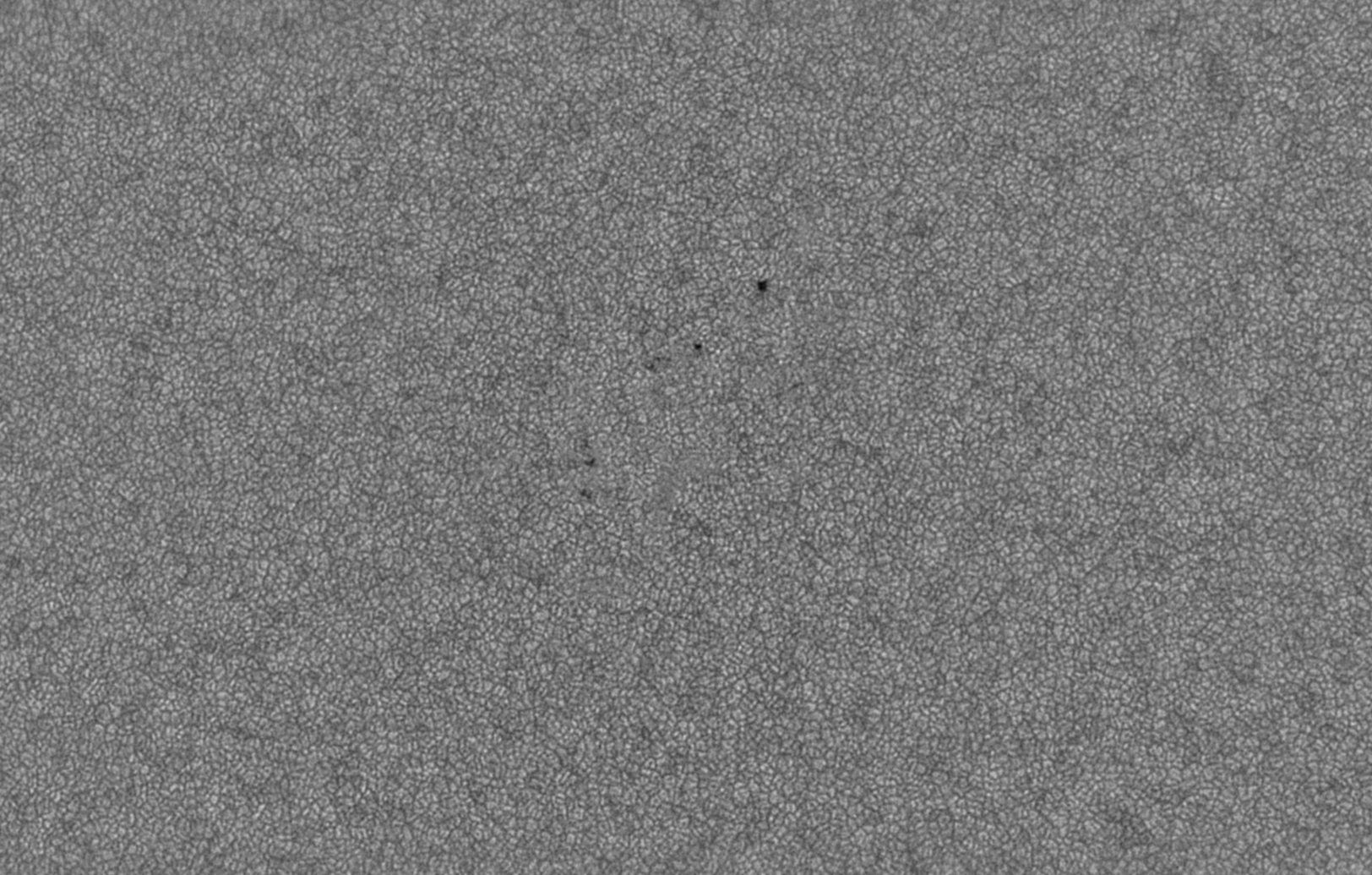 ar2748 whitelight-bw